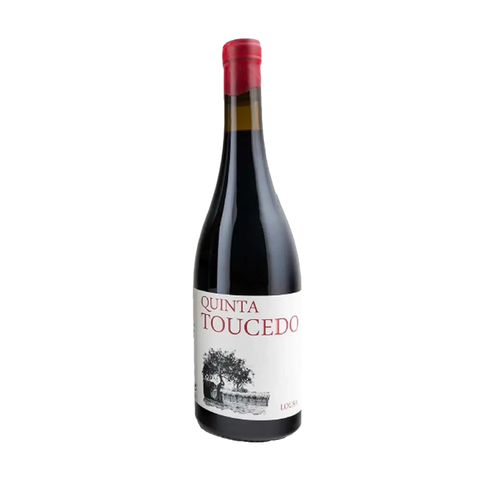 vino lousa
